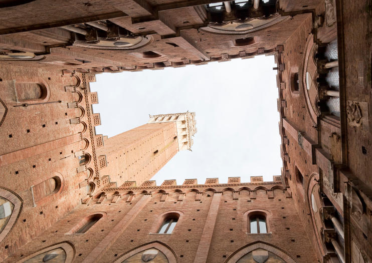 Siena Civic Museum (Museo Civico di Siena)